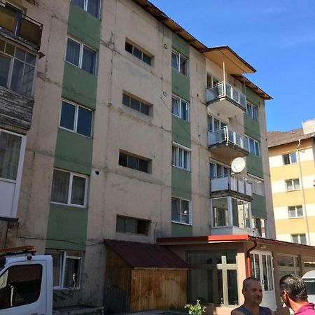 Apartamente Gildo 20 Borşa 外观 照片
