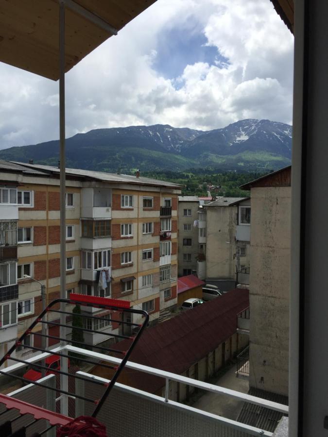 Apartamente Gildo 20 Borşa 外观 照片